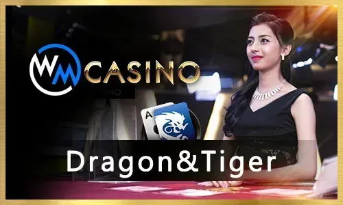 Diverse casino games at jljl4